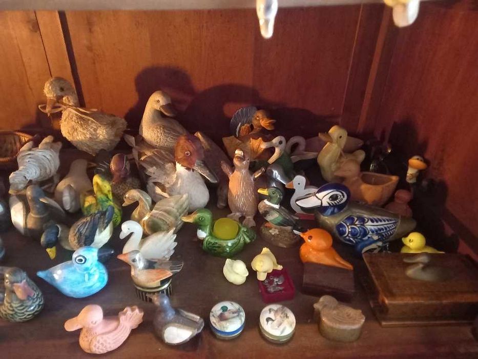 Patos decorativos para colecionadores