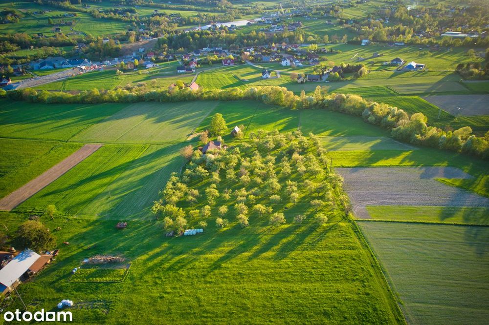 Działka INWESTYCYJNA 1,31 ha w trakcie przekształcenia