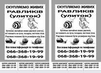Ризограф.Печать и расклейка объявлений раздача листовок Харьков