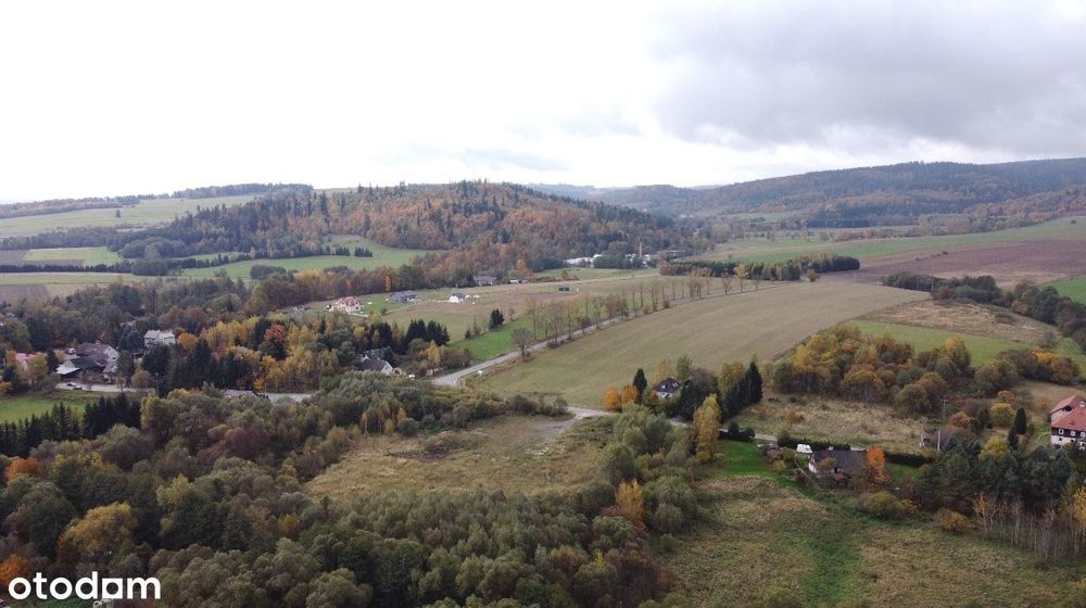 Działka w rejonie górskim blisko Śnieżnika