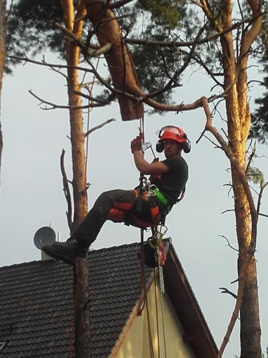 Drzewo drewn kominkowe opałowe Pabianice Łódź Rzgów Tuszyn Ksawerów