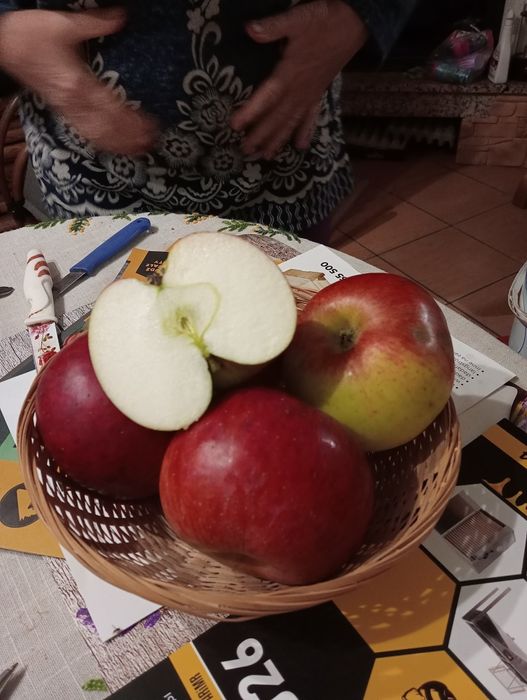 Jabłka Cortland swojskie ekologiczne