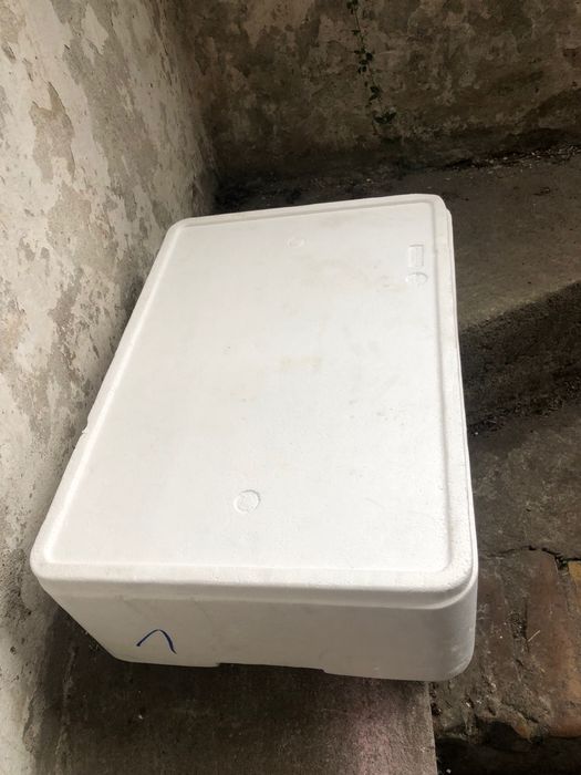 Box termiczny styropianowy