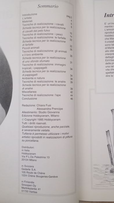 Livro de pintura em cerâmica "Fantasie di animal"i