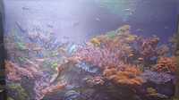 Панели ПВХ панно Коралловый риф