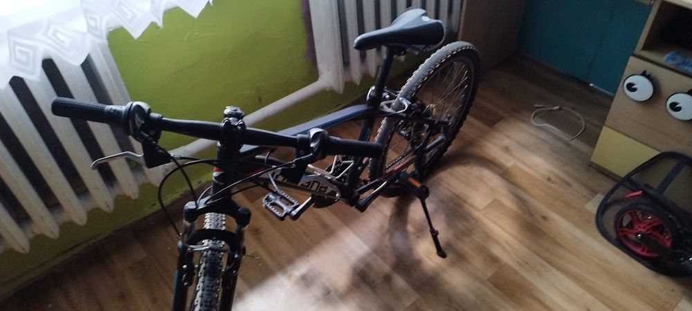 Rower indiana x-pulser 2.4