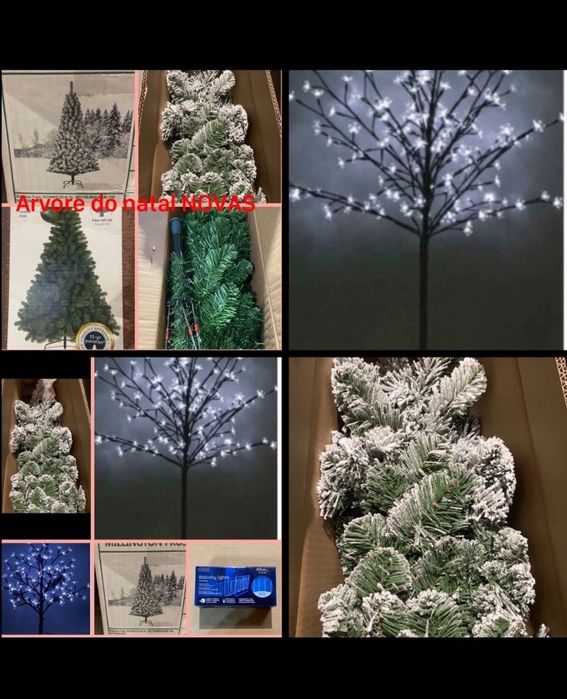 Árvores NOVAS( varios tamanhos)