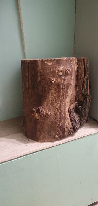Продам пень, дерево, срез