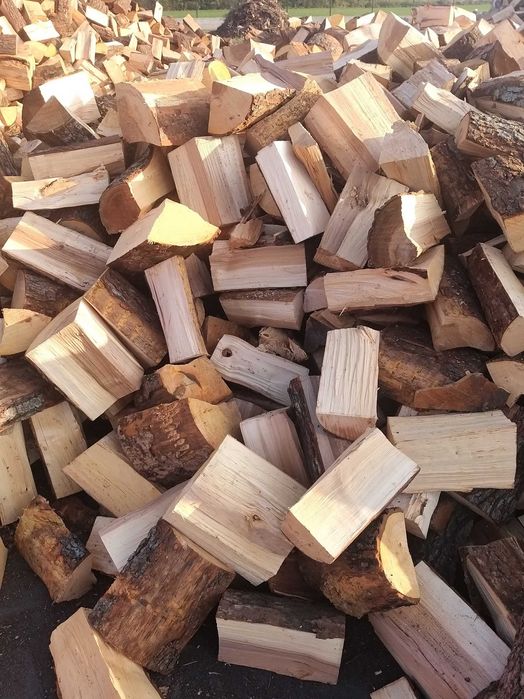 5.0.1.0.2.6.1.4.9 Drewno, drzewo kominkowe, opałowe