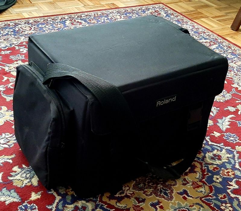 Amplificador Roland AC-60
