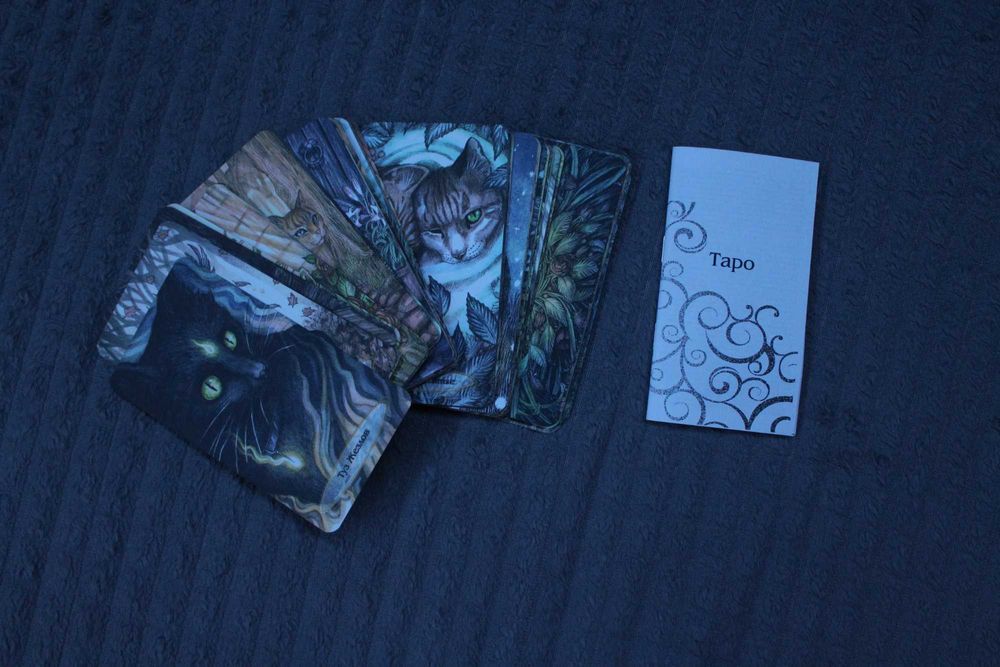 колода карт таро "душевні коти" | Soul Cats Tarot