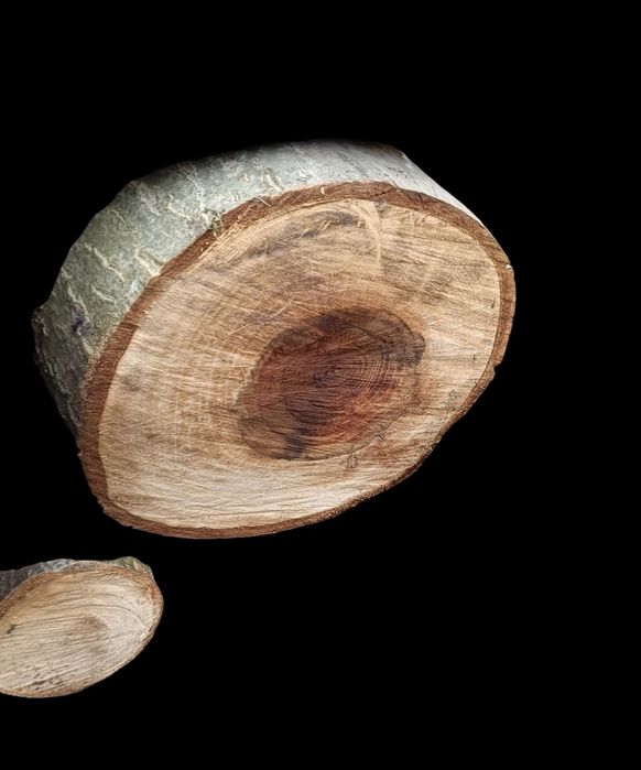 Plastry orzecha włoskiego.