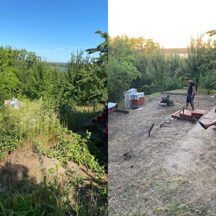 Посадка/Пересадка растений,Услги садовника,Подготовка участков к зиме