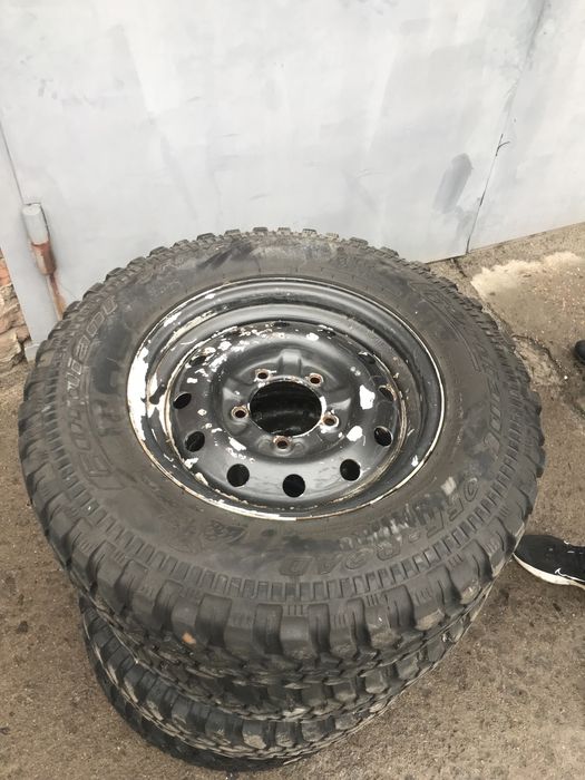 Болотяна резина кордіант