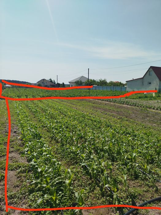 Продам 2 будинки..25 соток!!!