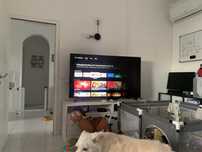 LED 60” avariado