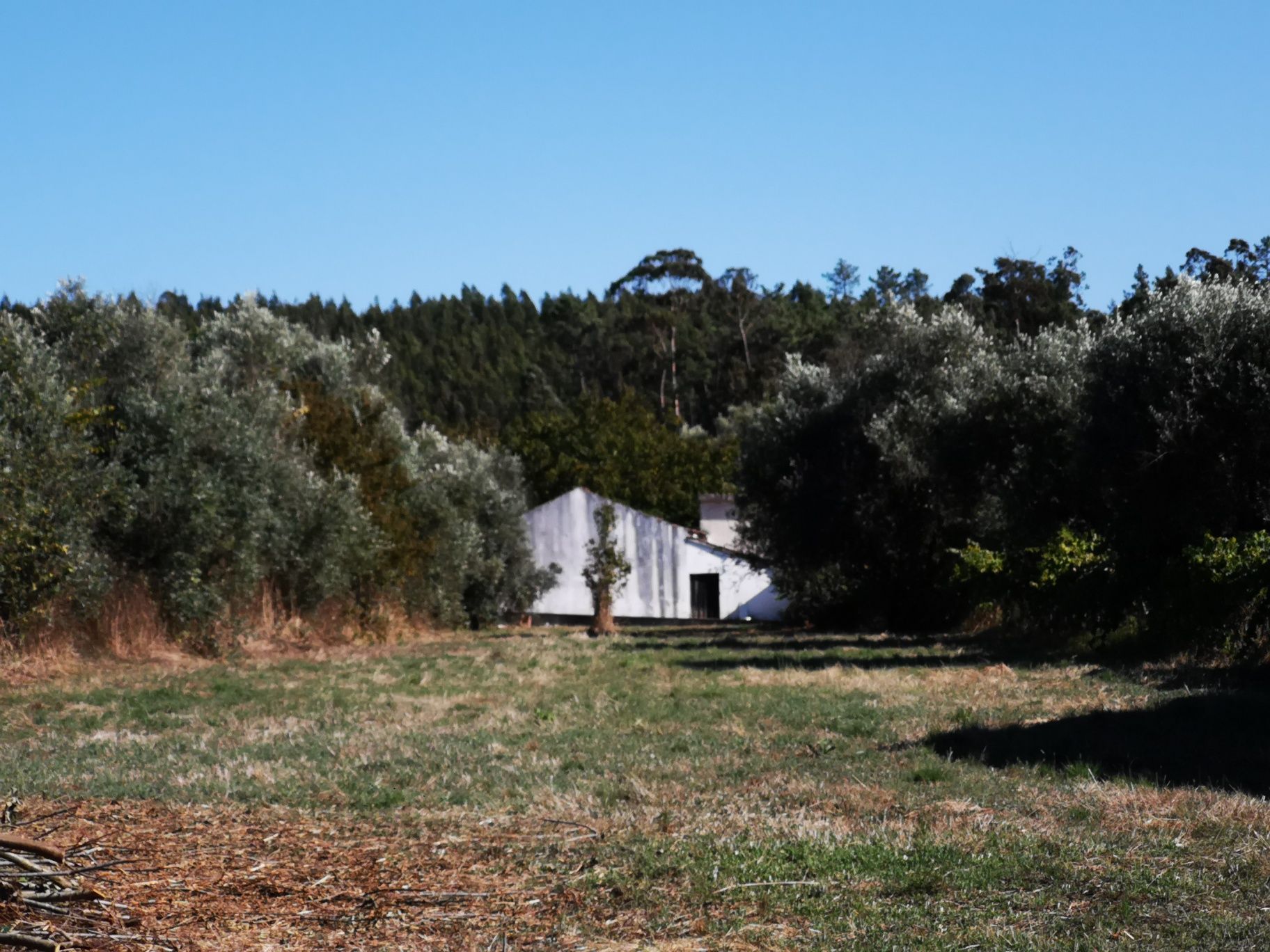 Casa com Terreno em Soure