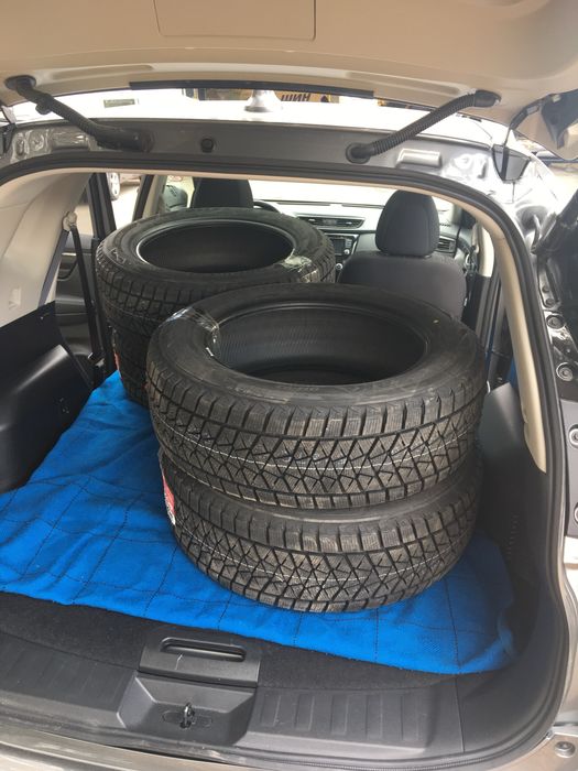 Зимова гума шини Bridgestone Blizzak DM-V2 225/60 R18 100S