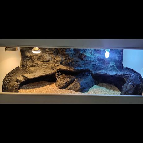 Okazja terrarium dla Agamy gekona żółwia węża kameleona legwana pytona