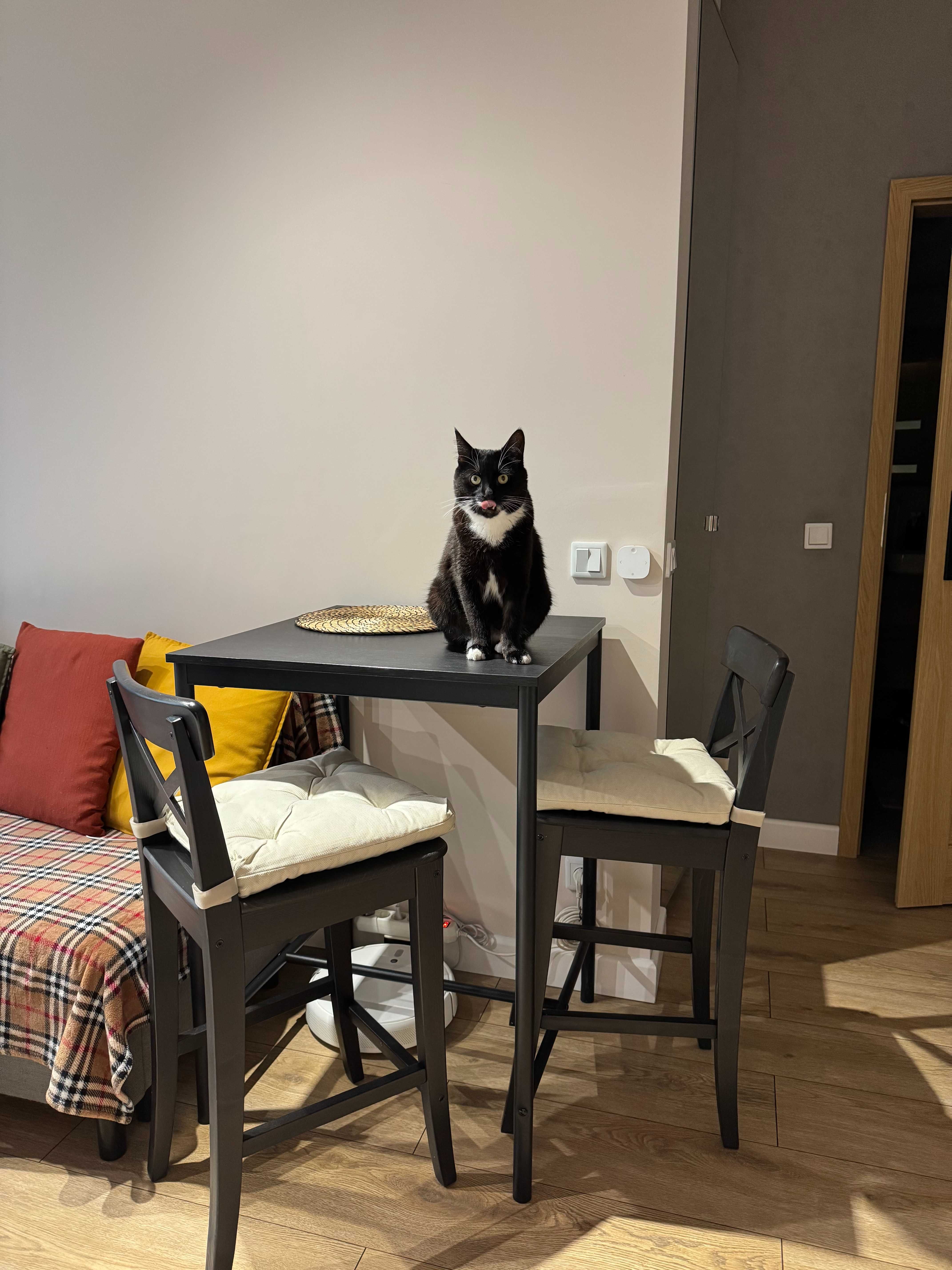 Stół czarny SANDSBERG z krzesłami INGOLF IKEA
