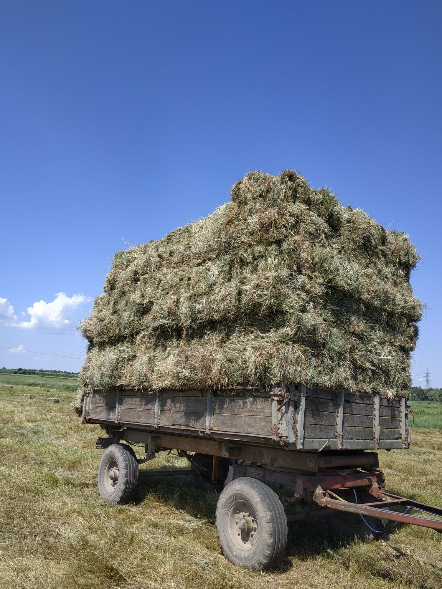 Тюковане Сіно!!!