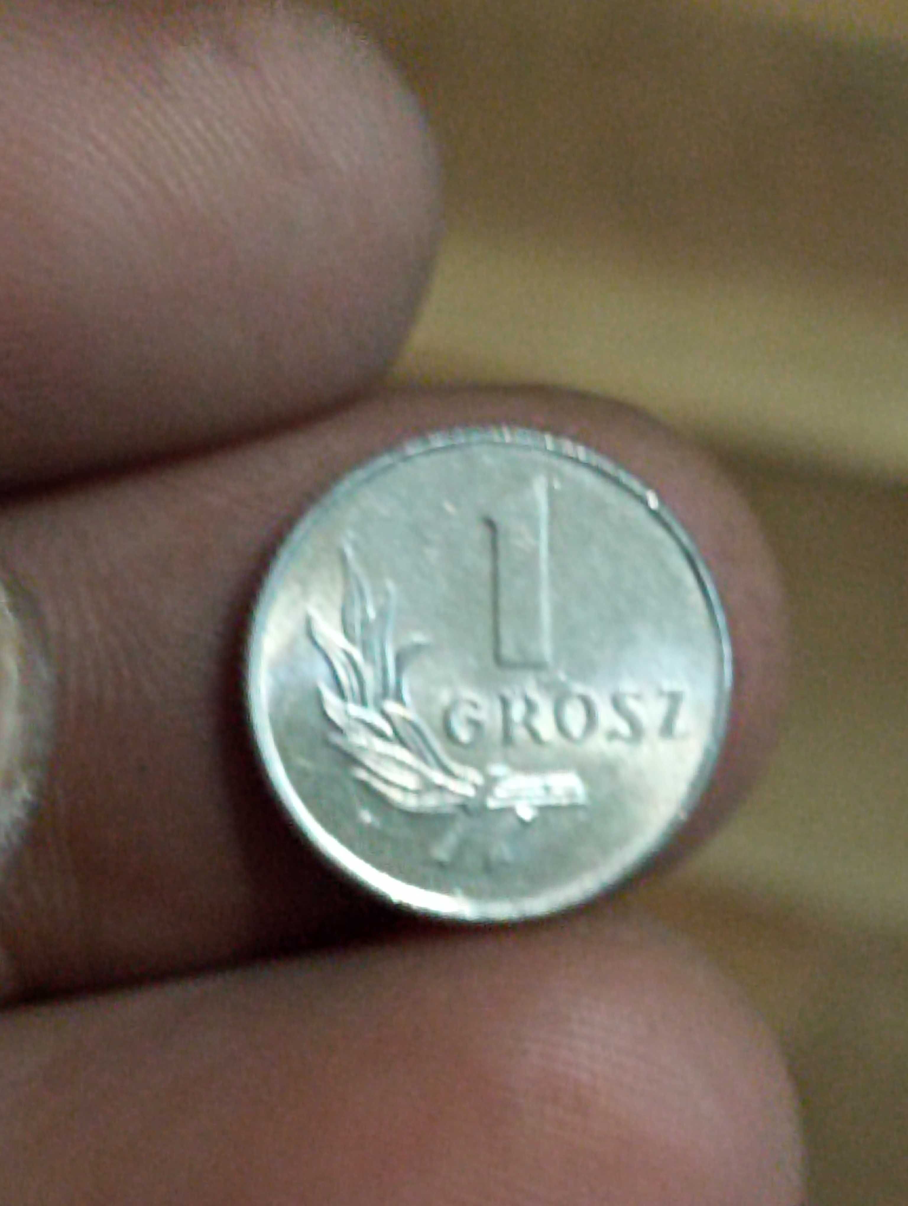 Moneta 1 grosz 1949 rok bzm