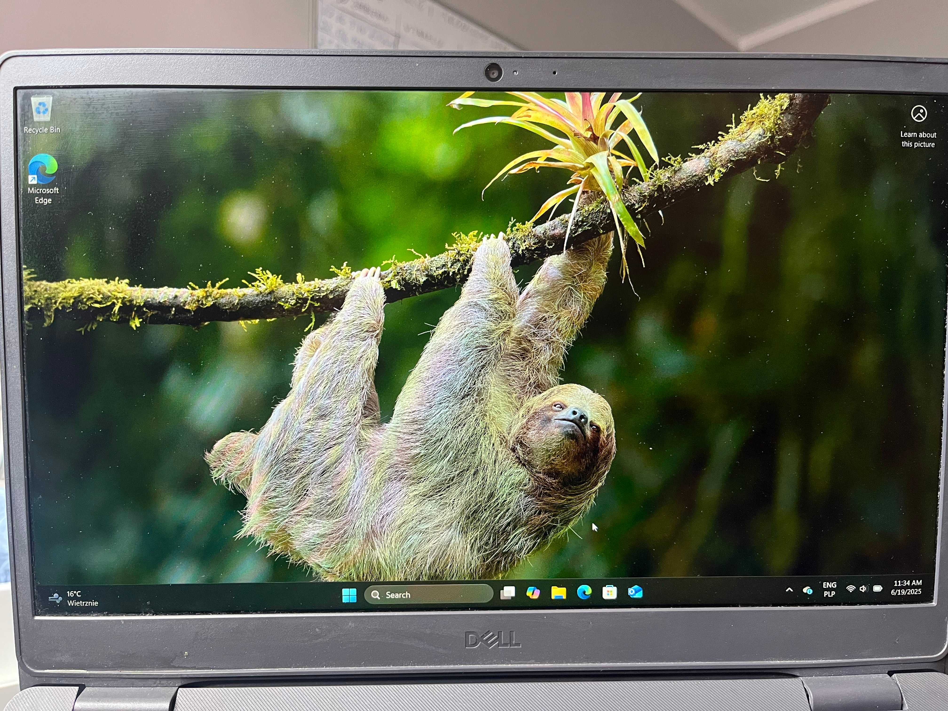 Dell Vostro 15 3500 • i5-1135G7 • 16GB RAM • SSD 256GB • NOWA bateria