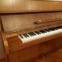 Pianino Calisia M-105 Menuet z trzema pedałami [nowa cena]