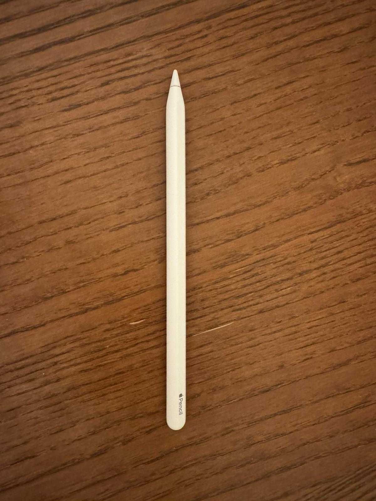 iPad Air 5th Gen (2022) 64 GB Space Grey + Apple Pencil 2 + Capa