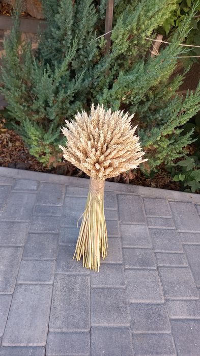 Дідух. Сніп з пшениці або жита