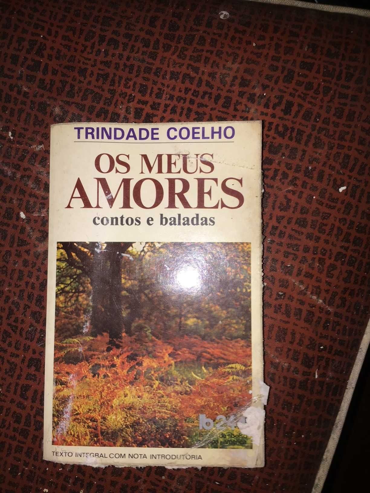 livro os meus amores contos e baladas