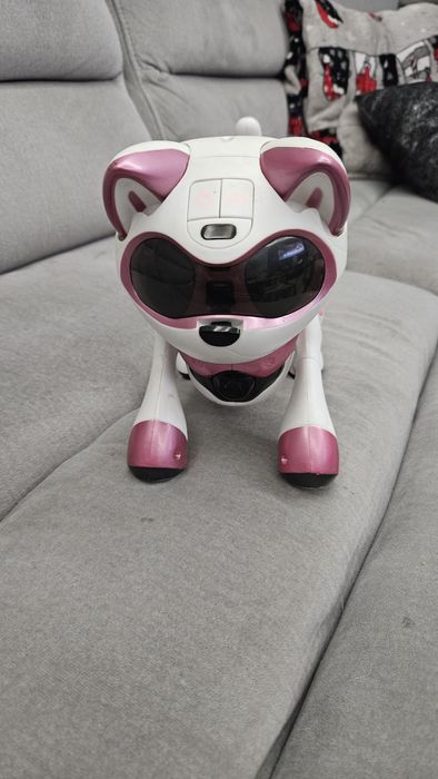 Cyber kot kot robot