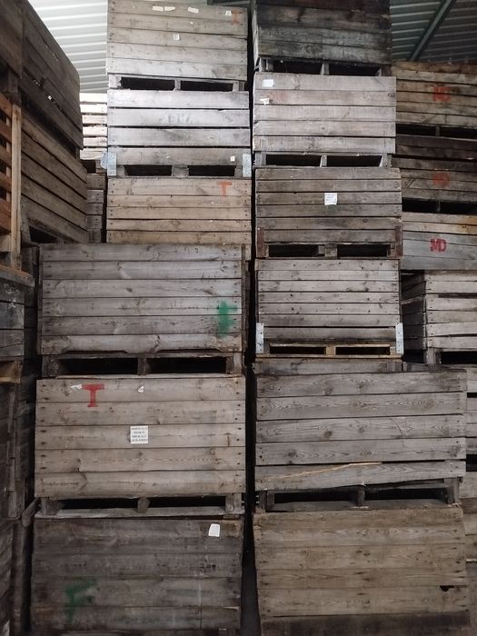 Skrzyniopalety drewniane od 50 do 70 pln