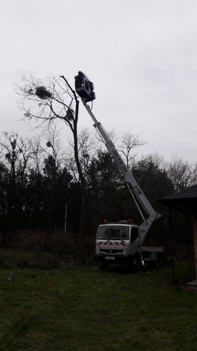 wycinka drzew-zwyżka- podnośnik częstochowa-kłobuck-usługi-20 metrów