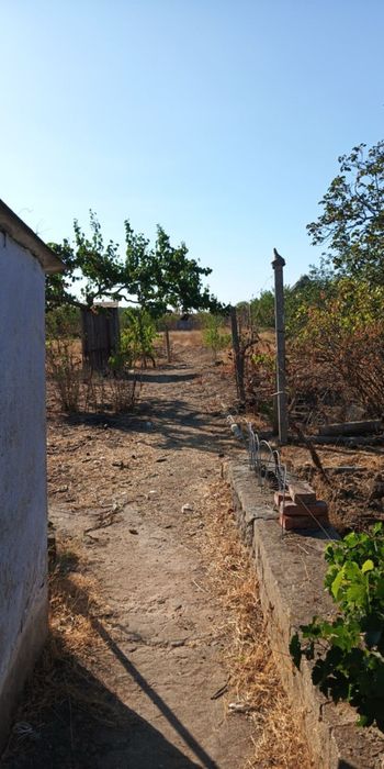Продам будинок у с. Новобогданівка