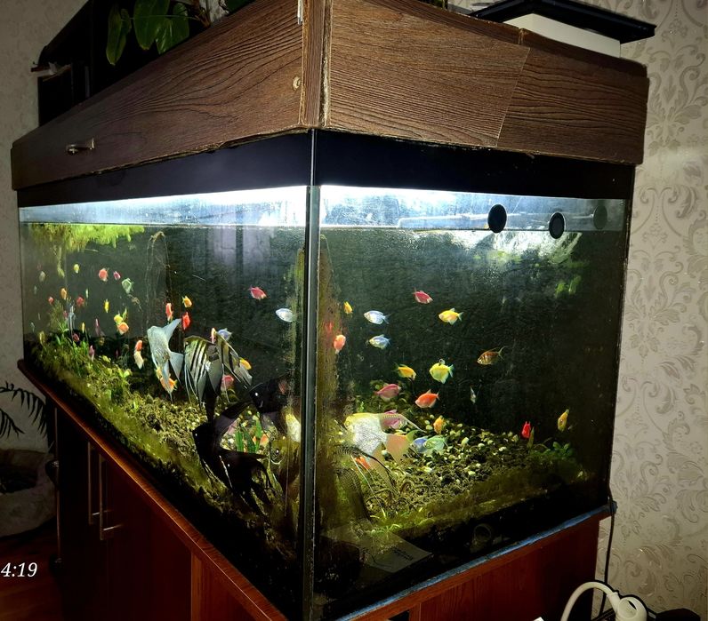 Акваріум  500 літрів та причандали..
