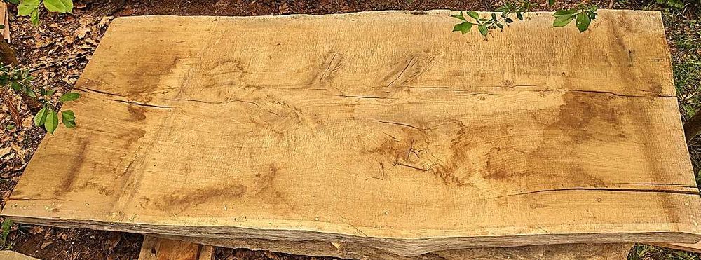 deska na blat dębowy z monolitu suchy dąb 8 letni 250/105/9 cm