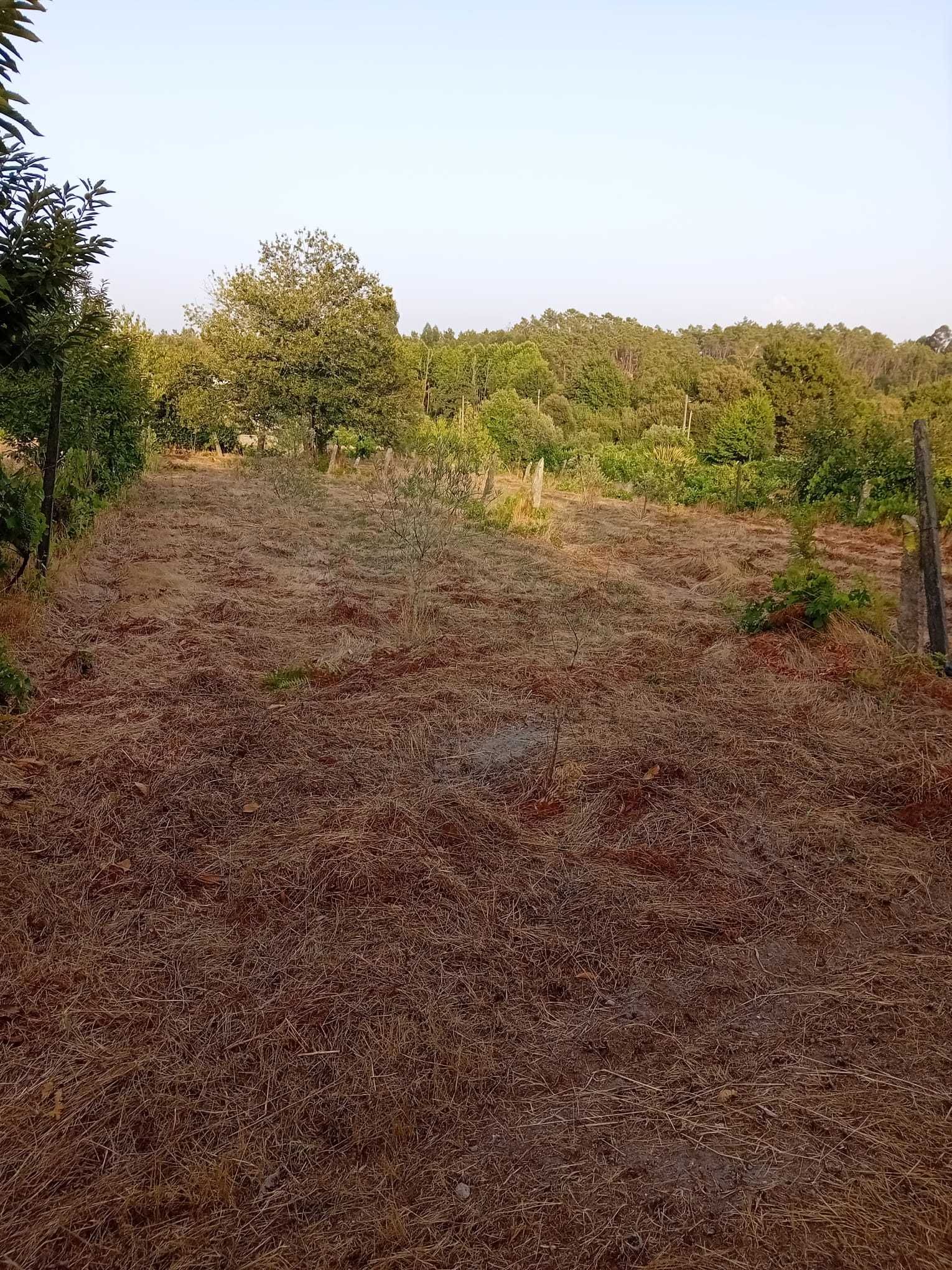 Terreno rural Boa Aldeia