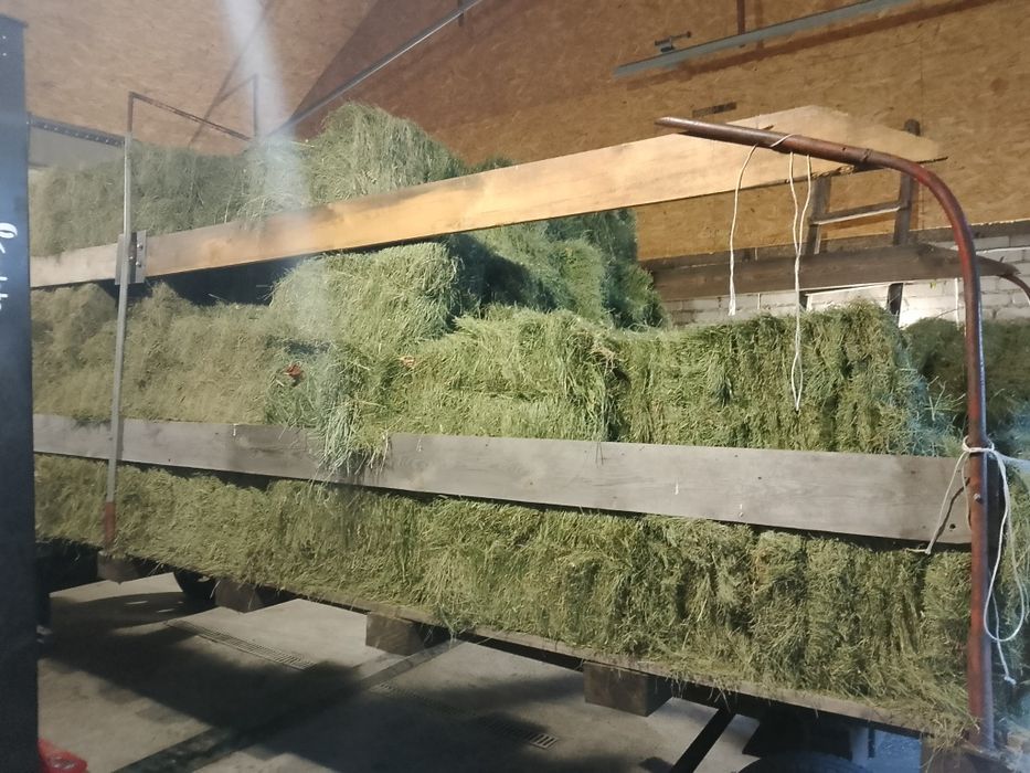 Siano drugi pokos