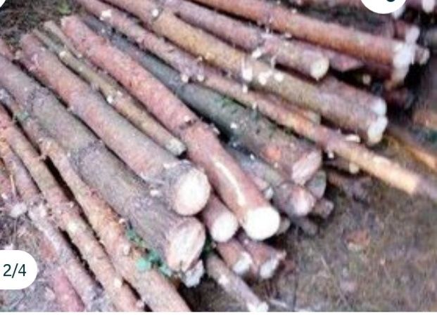 Drewno opałowe sosna