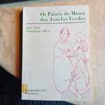 José Luís Conceição Silva, Os Painéis do Museu das Janelas Verdes