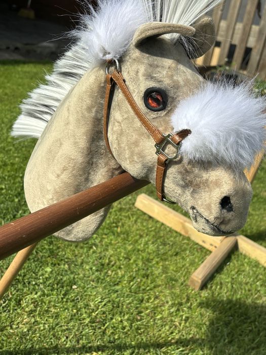 Hobby horse realistic