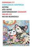 darmowe zabiegi dla kotów