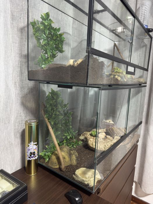 Terrário para repteis