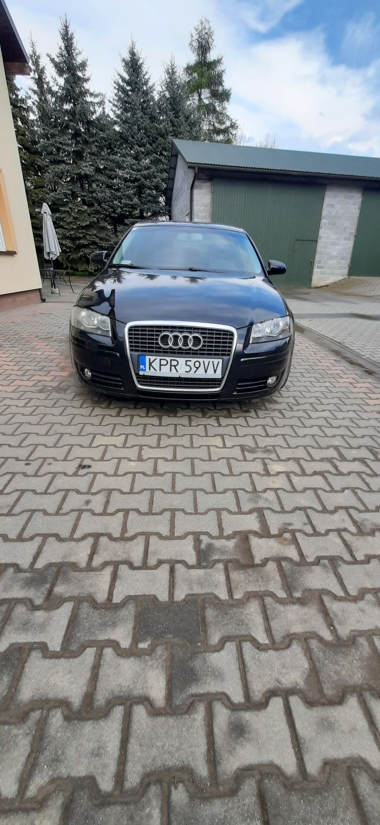 Audi A3 8p 1.9tdi