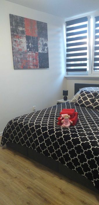 Mieszkanie, apartament - wynajem krótkoterminowy
