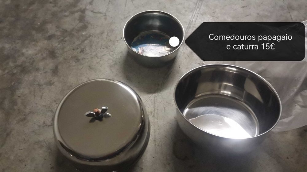 Comedouros para papagaio