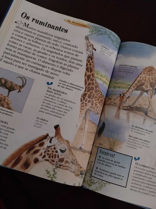 O Maravilhoso Mundo do Conhecimento, Os Mamíferos, Disney