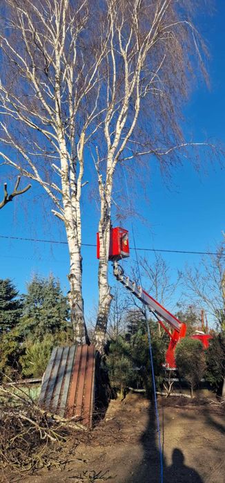 Usługi podnośnikiem koszowym - zwyżka 20m