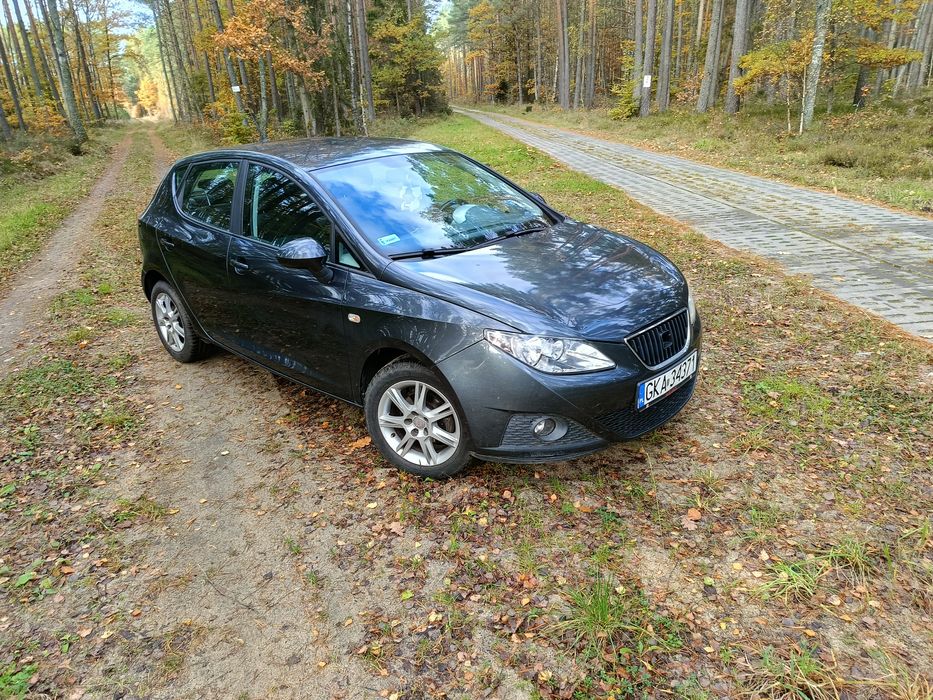 Seat Ibiza 1,4 2010
